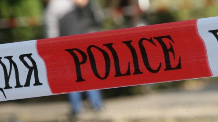 Снимка: архив, БГНЕС