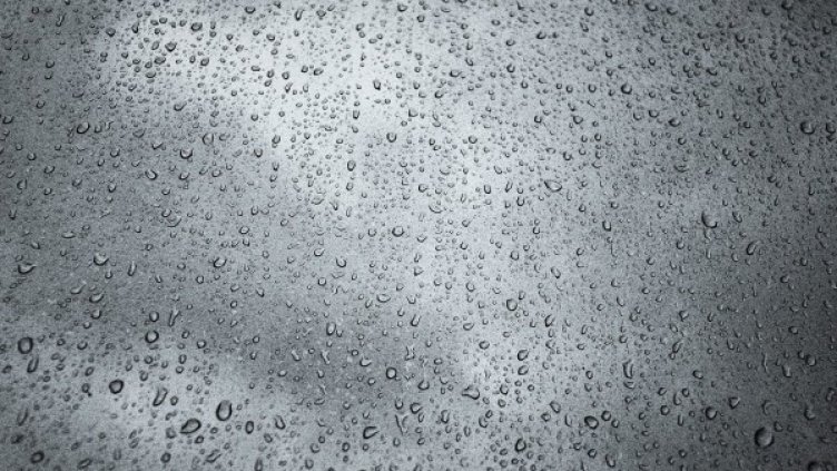 Снимка: Pixabay