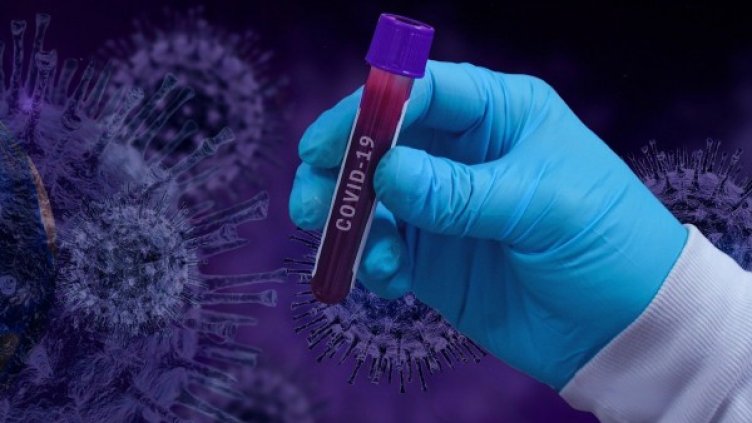 Снимка: Pixabay