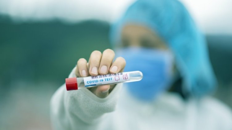 Снимка: Pixabay