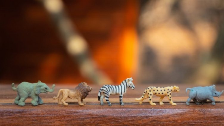 Снимка: pexels.com