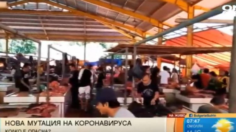 Снимка: Bulgaria ON AIR