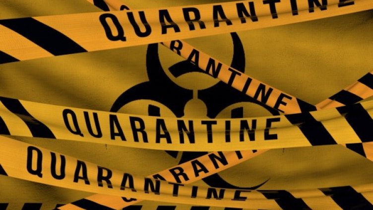 Снимка: Pixabay