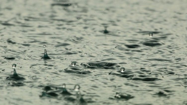 Снимка: Pixabay