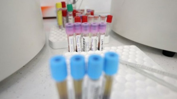 Снимка: Димитър Кьосемарлиев