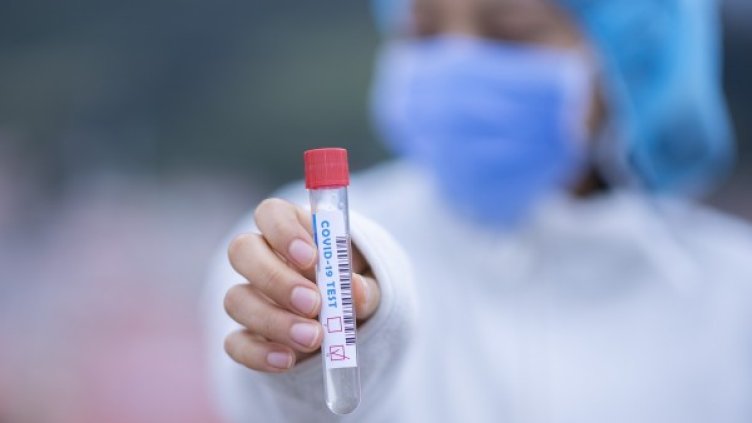 Снимка: Pixabay