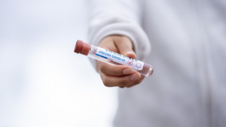 Снимка: Pixabay