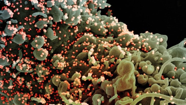 Снимка: архив, БГНЕС