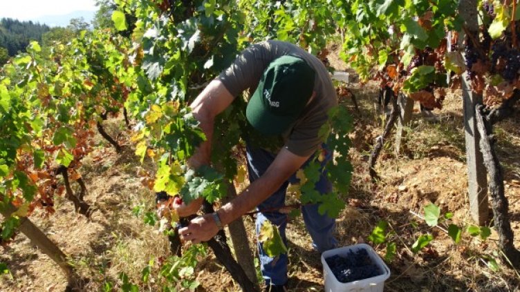 Снимка: БГНЕС, архив