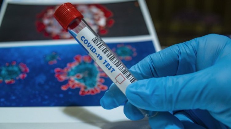 Снимка: Pixabay