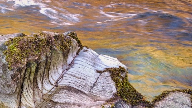 Снимка: Pixabay