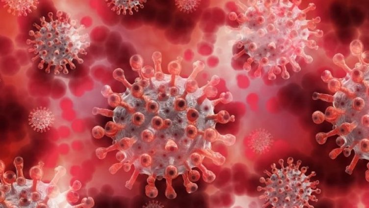 Снимка: Pixabay