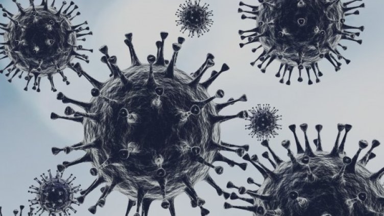 Снимка: Pixabay