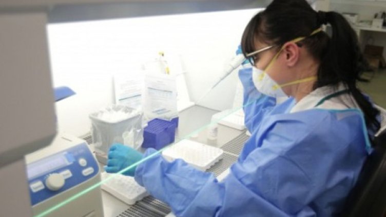 Снимка:Димитър Кьосемарлиев, Dnes.bg