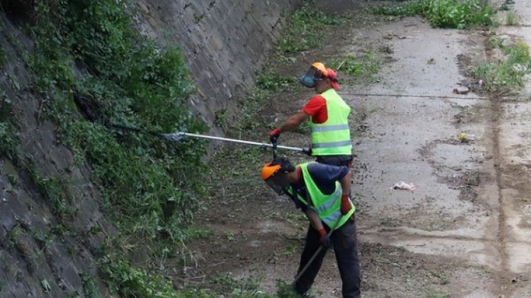 Снимка: БГНЕС