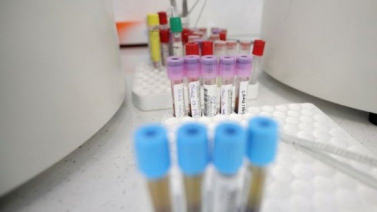 Снимка:Димитър Кьосемарлиев, Dnes.bg