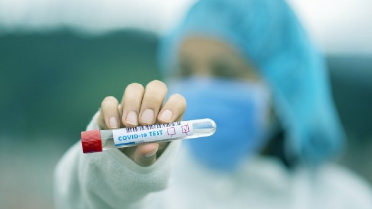 Снимка: Pixabay