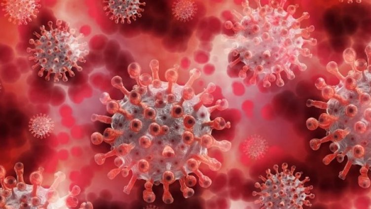 Снимка: Pixabay