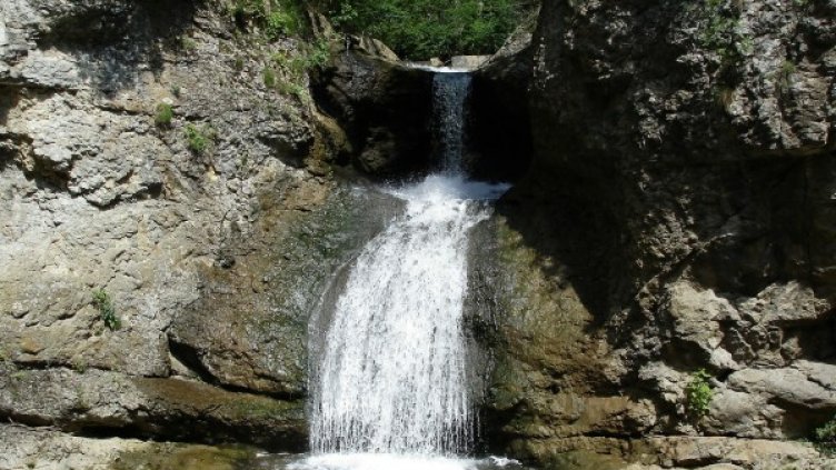 Снимка: Pixabay