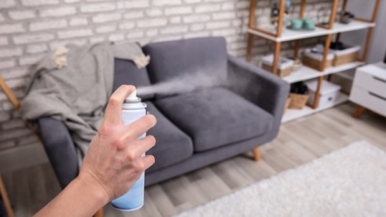 Снимка: Istock