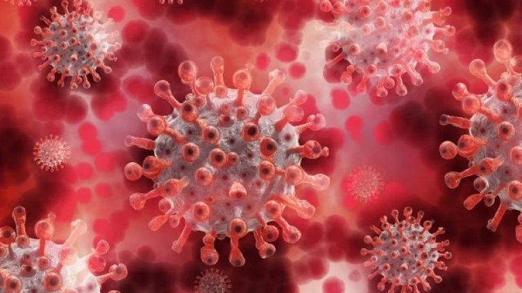 Снимка: Pixabay