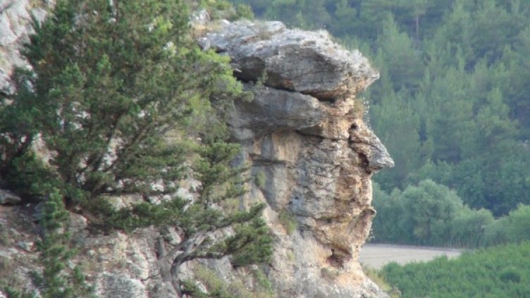 Снимка: "Дейли сабах"