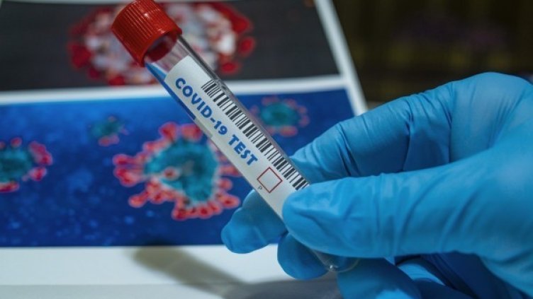 Снимка: Pixabay