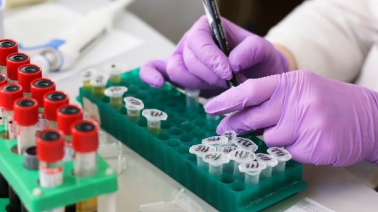 Снимка: Pixabay