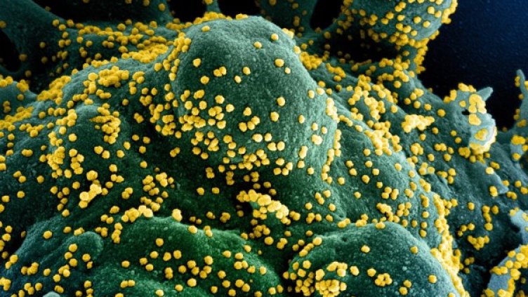 Снимка: архив, БГНЕС