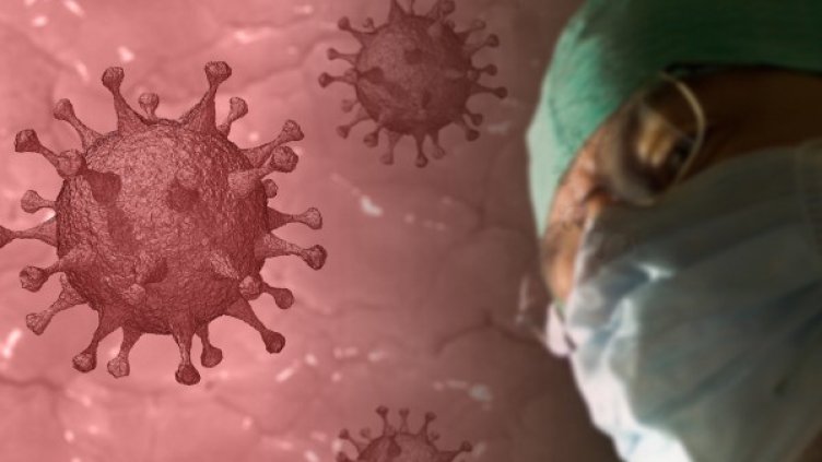 Снимка: Pixabay