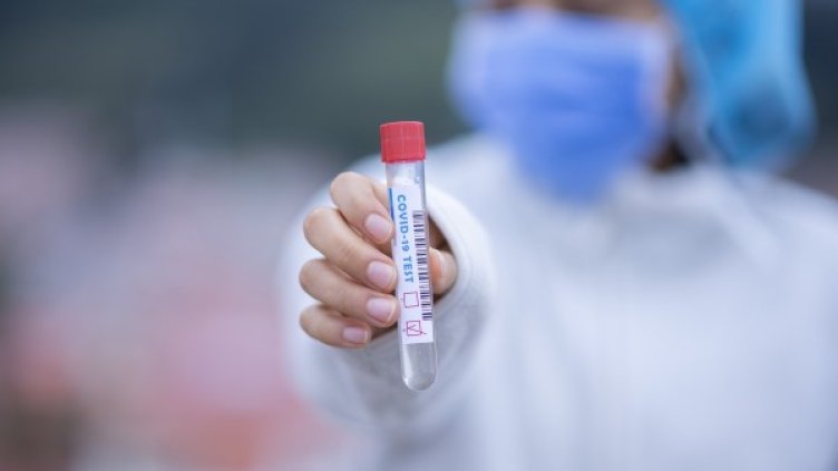 Снимка: Pixabay