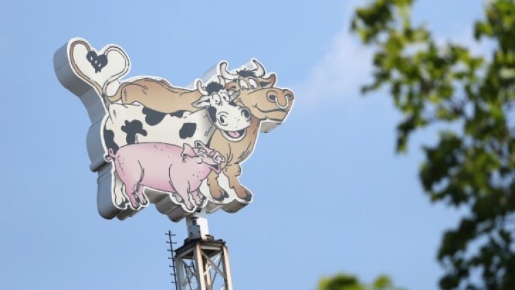 Снимка: архив, БГНЕС