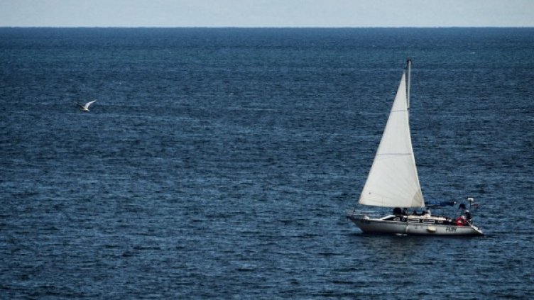 Снимка: архив, БГНЕС