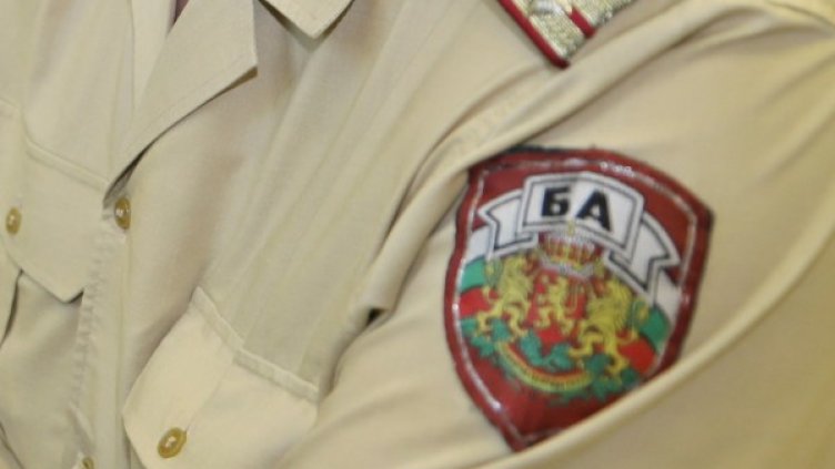 Снимка: архив, БГНЕС