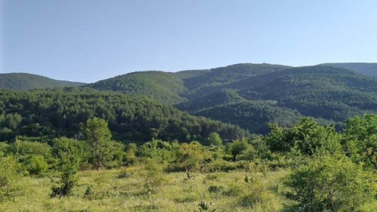 Снимка: Павел Гълъбов, Dnes.bg