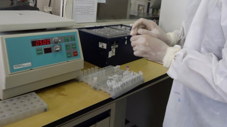 Снимка: архив, БГНЕС