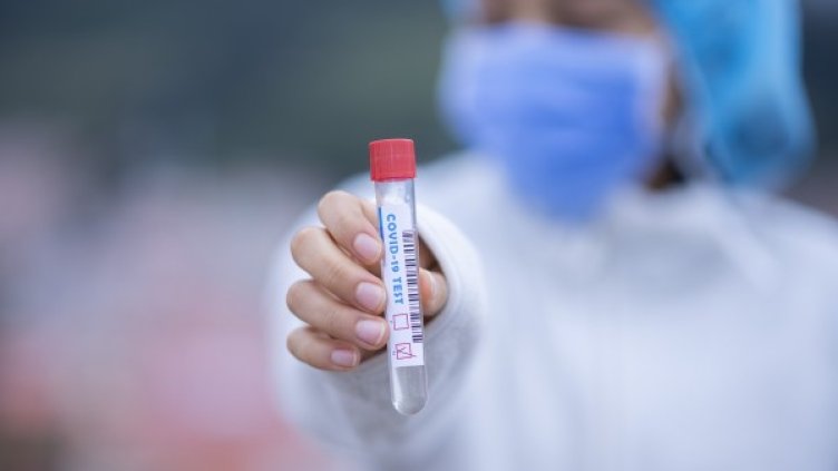 Снимка: Pixabay