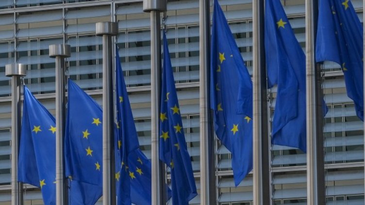 Снимка: архив, БГНЕС