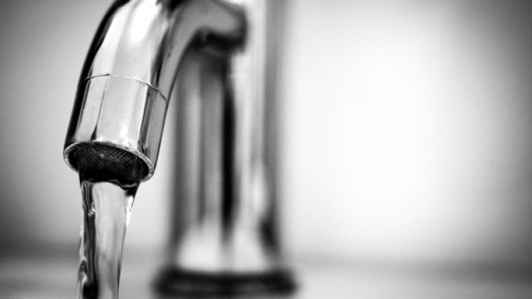 Снимка: Pixabay