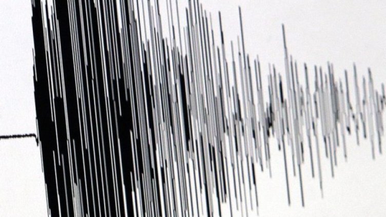 Снимка: архив, БГНЕС