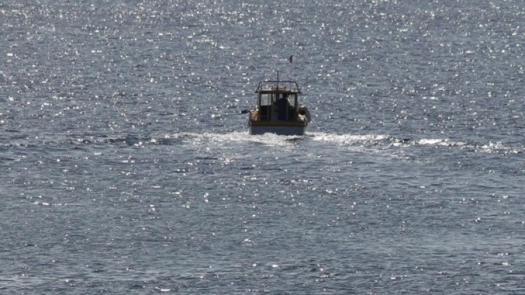 Снимка: архив, БГНЕС