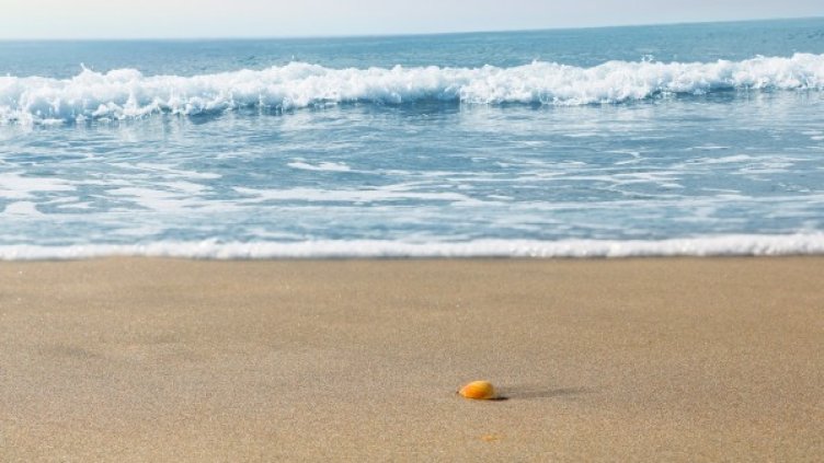 Снимка: Pixabay