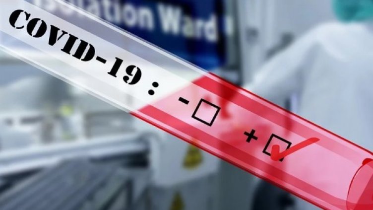 Снимка: Pixabay