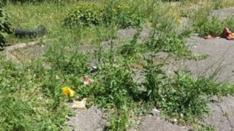 Снимка: HelpBook