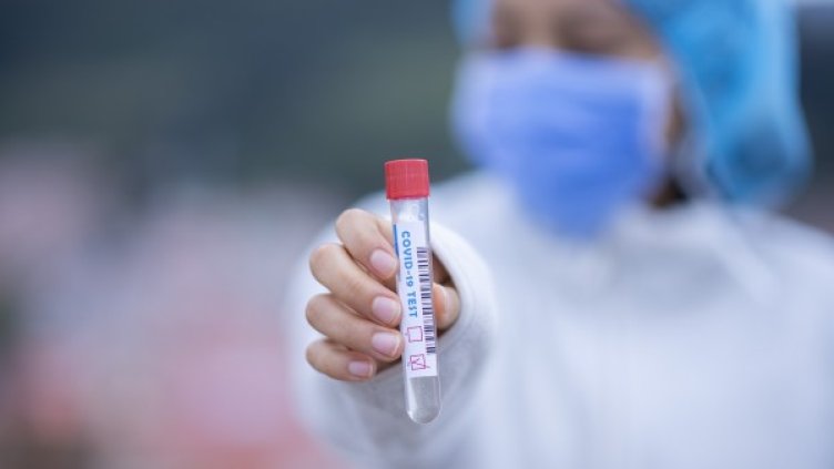 Снимка: Pixabay