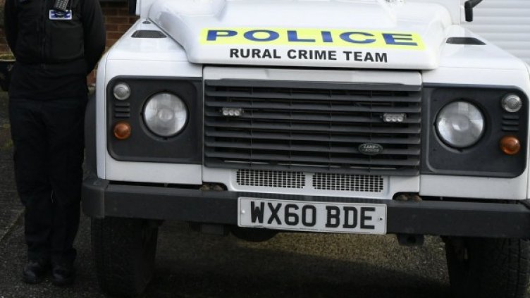 Снимка: архив, БГНЕС