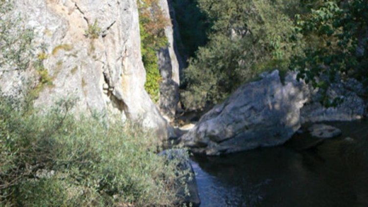 Снимка: Уикипедия