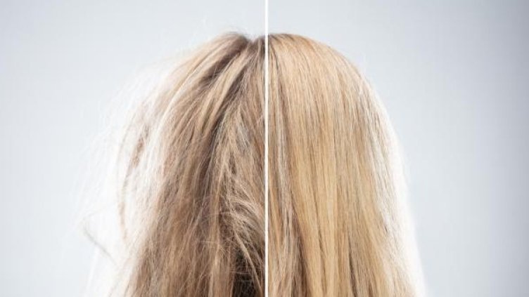 Снимка: IStock