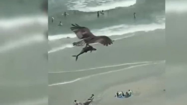 Снимка: Bulgaria ON AIR