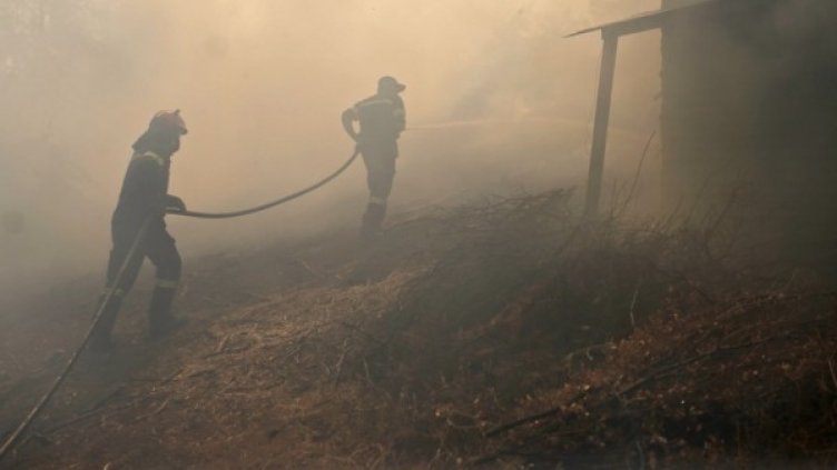 Снимка: БГНЕС